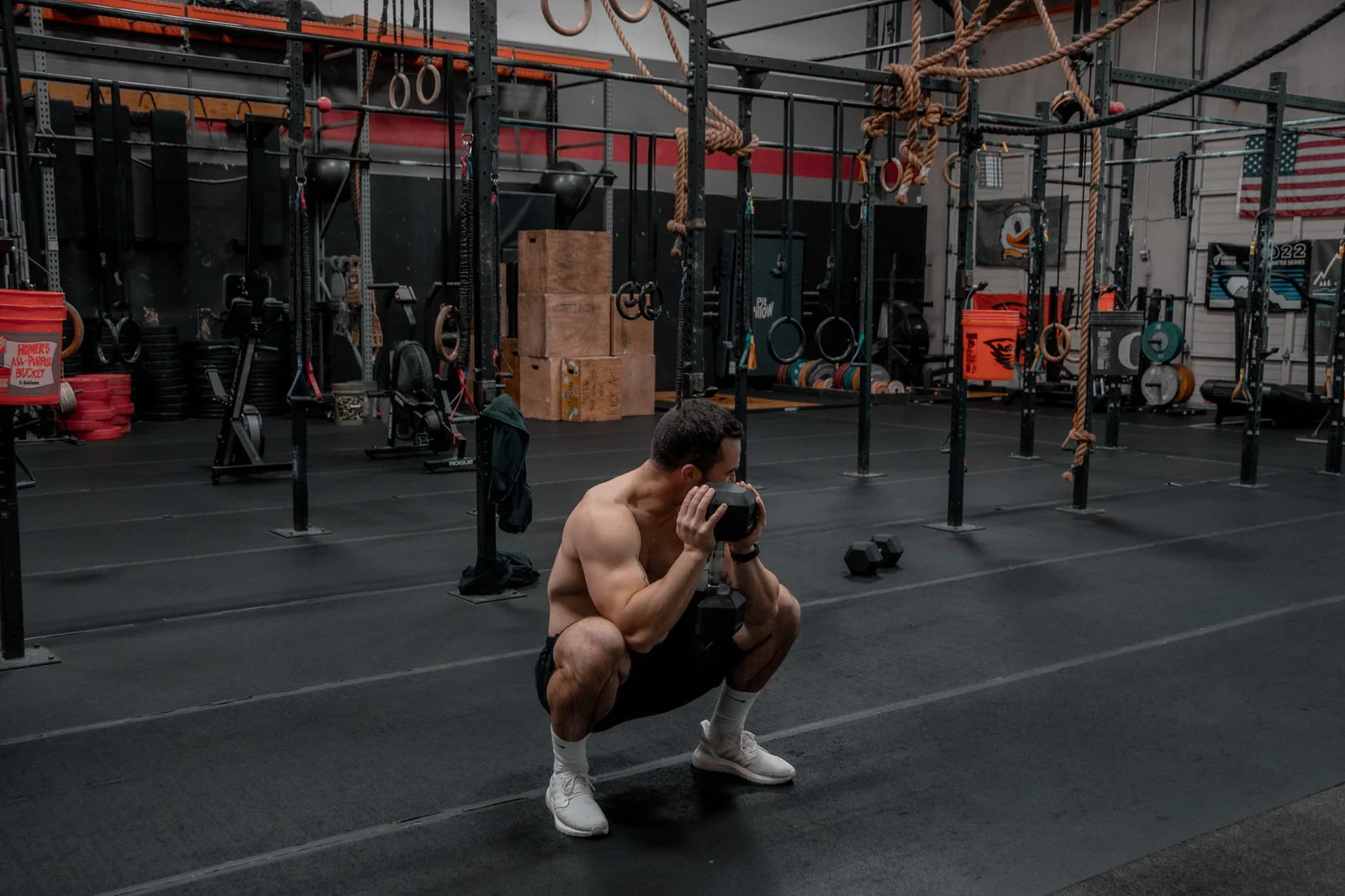 Plate Press Squat